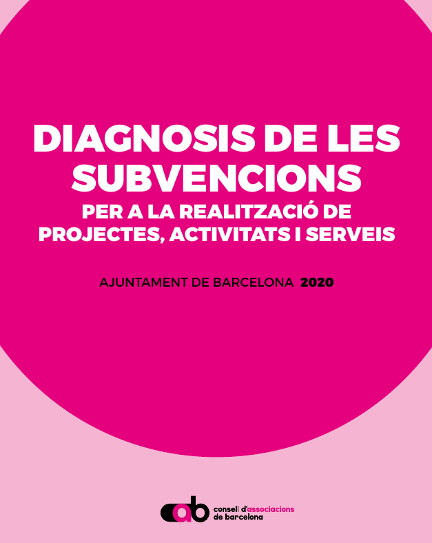 diagnosi subvencions 2020