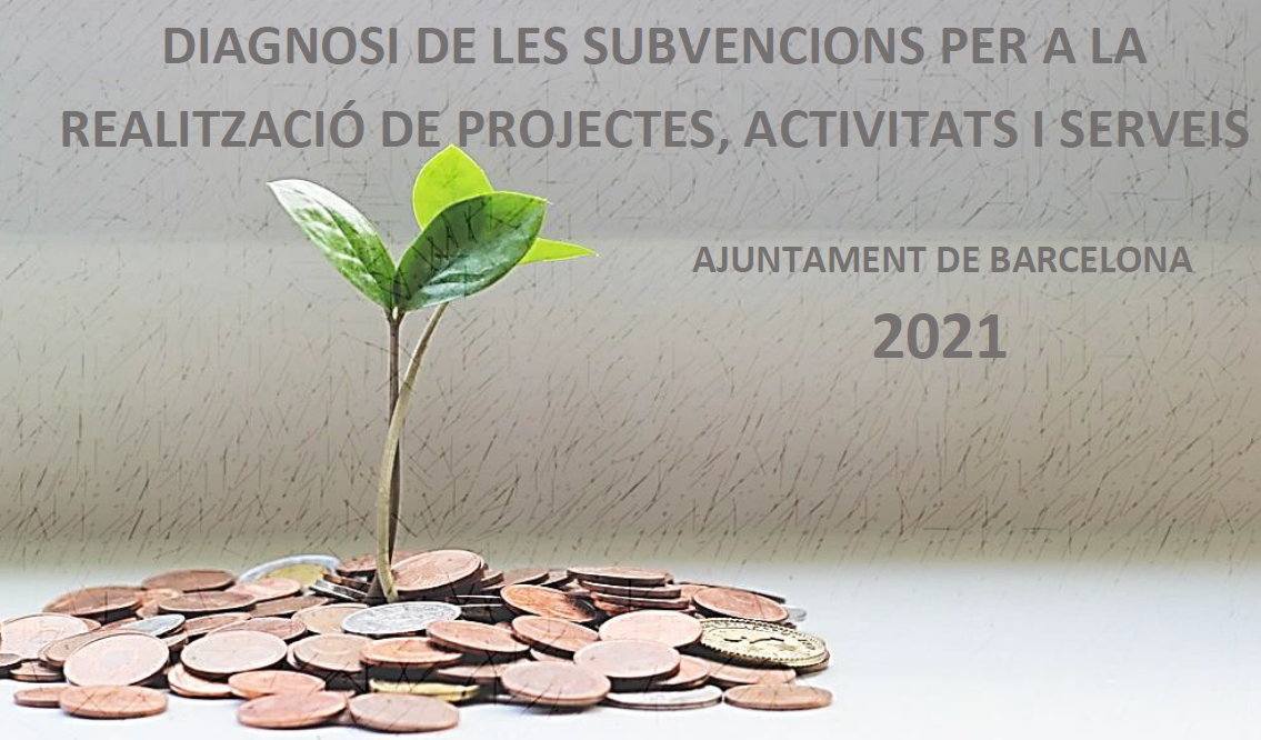 subvencions 21