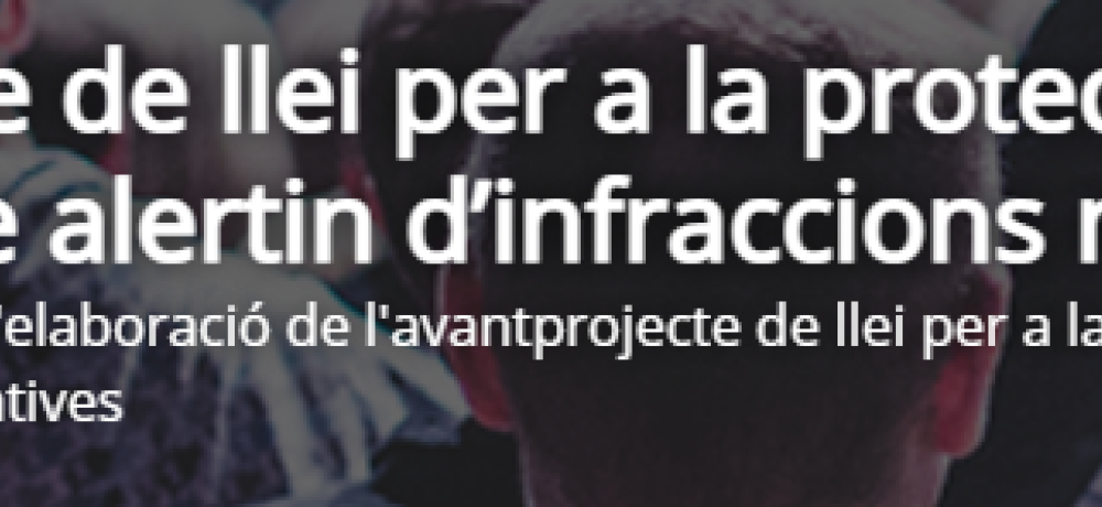 avantprojecte dellei