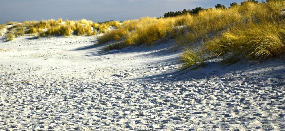dunes