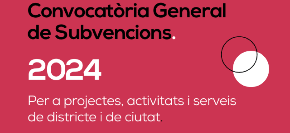 subvencions 2024