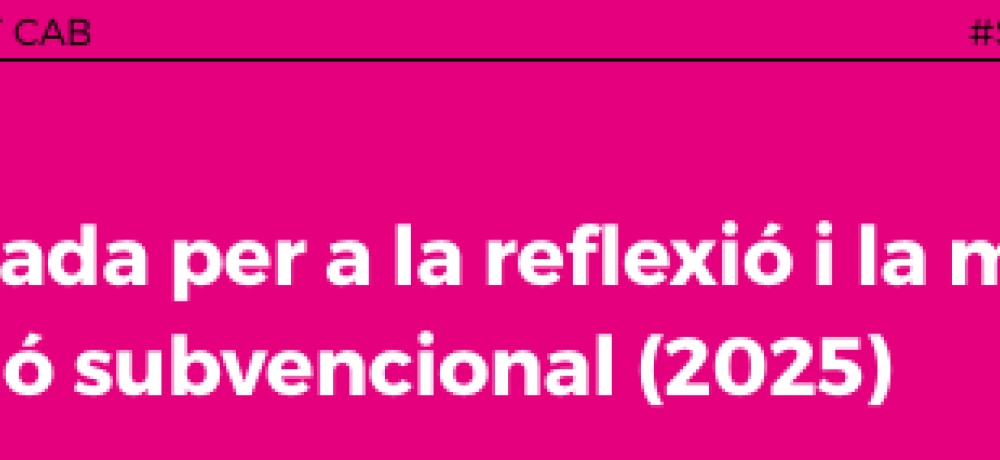 posicionament_subvencions_25