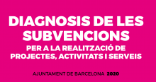 bannerdiagnosisubvencions