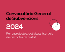 subvencions 2024