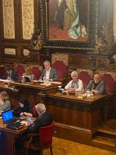 consellciutat_plenari
