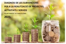 Diagnosi de Subvencions 2025