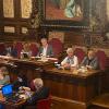 consellciutat_plenari
